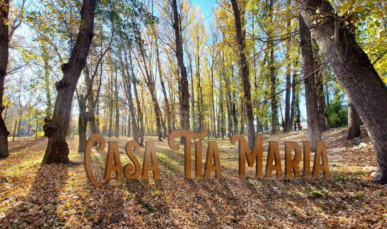 Casa Tia Maria Villa Navaluenga Ngoại thất bức ảnh